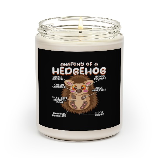 Anatomy Of A Funny Hedgehog Scented Candles