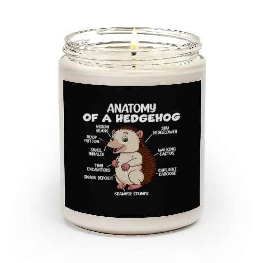 Anatomy Of A Hedgehog Scented Candles