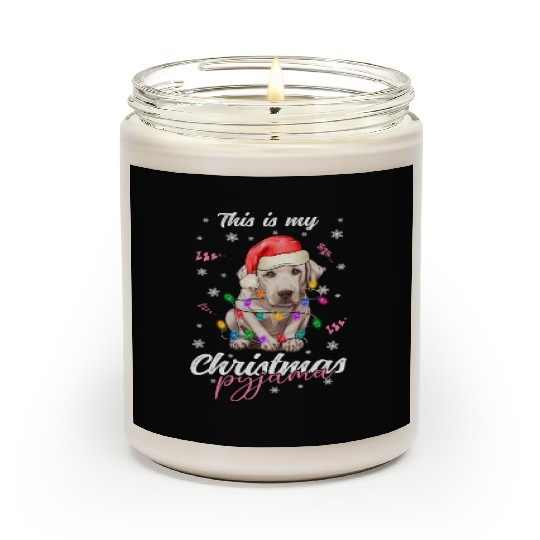 Winter Christmas Pyjama Labrador Scented Candles