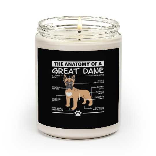 The Anatomy of A Great Dane Scented Candles