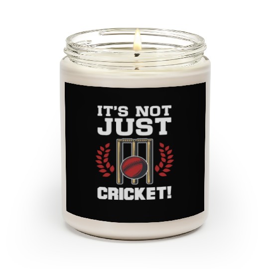It's Not Just Cricket Scented Candles