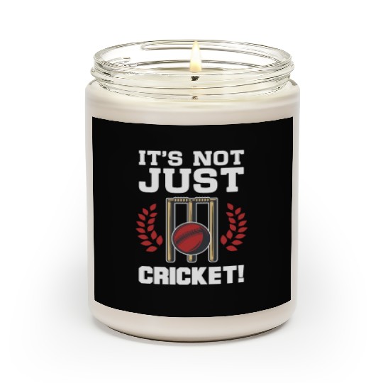 It's Not Just Cricket Scented Candles