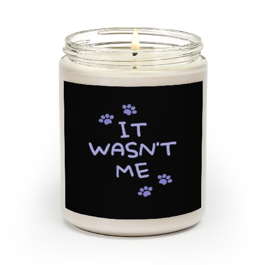 It Wasn't Me Scented Candles