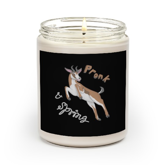Pronk and Spring Springbok Scented Candles