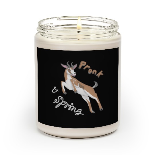 Pronk and Spring Springbok Scented Candles