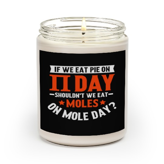 Funny Pi Day Scented Candles Math for Pi Day 3 14 We Eat Pie