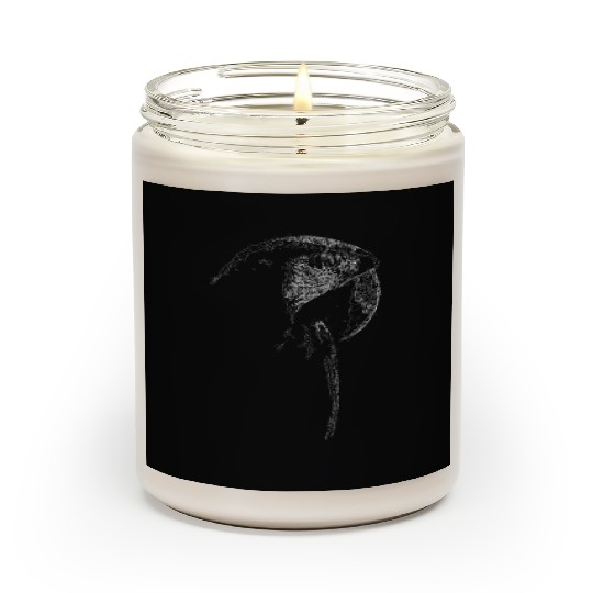 Macaw Lines Art Scented Candles