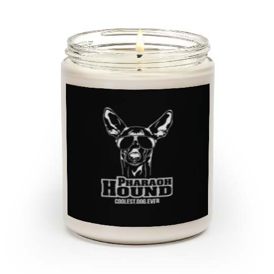 Pharaoh Hound dog coolest dog ever dog mom Scented Candles