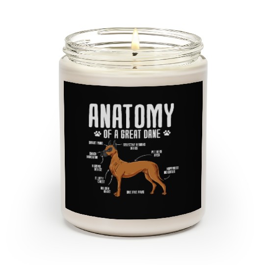 Anatomy Of A Great Dane Scented Candles