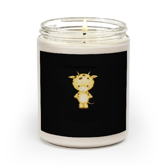 Did you know ... giraffe Scented Candles