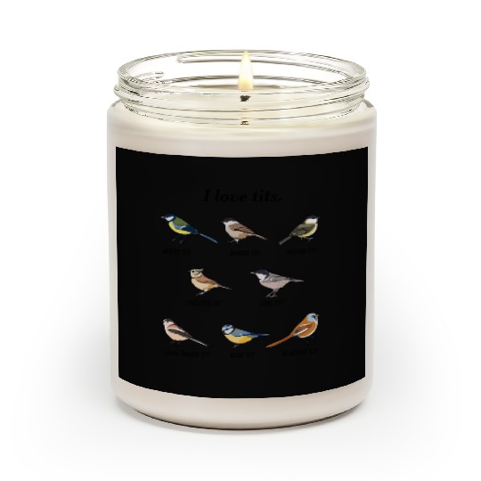 I Love Tits Birdwatching Bird Lover Scented Candles