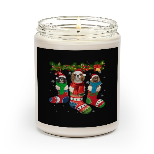 Three Cavalier King Charles Spaniel In Sock Scented Candles