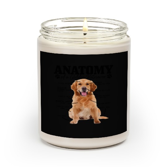 Anatomy Of A Golden Retriever Dog Mom Dad Scented Candles