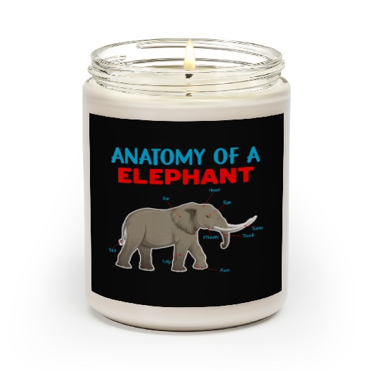 Anatomy Of A Elephant Educational Elephant Love Scented Candles