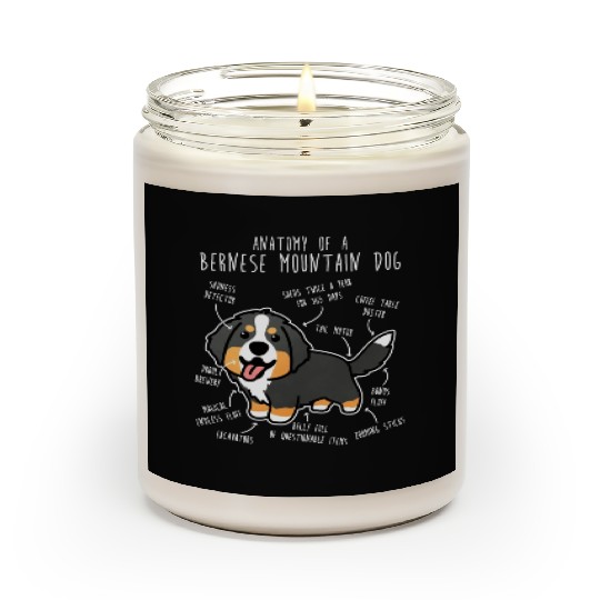 Bernese Mountain Dog Anatomy Scented Candles