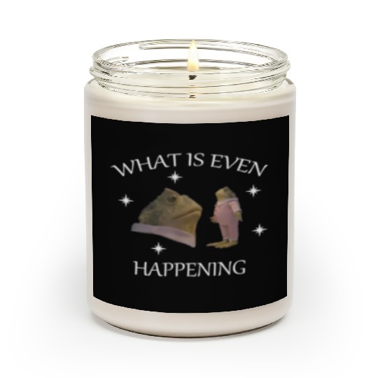What Is Even Happening Frog Weird Meme Fan Scented Candles