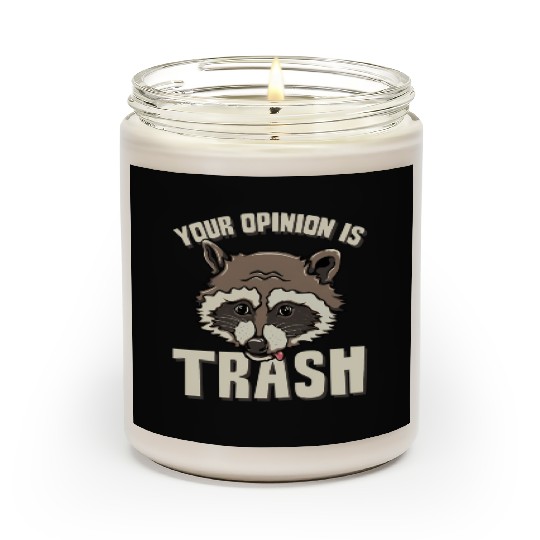 Raccoon Trash Panda Meme Garbage Humor Scented Candles