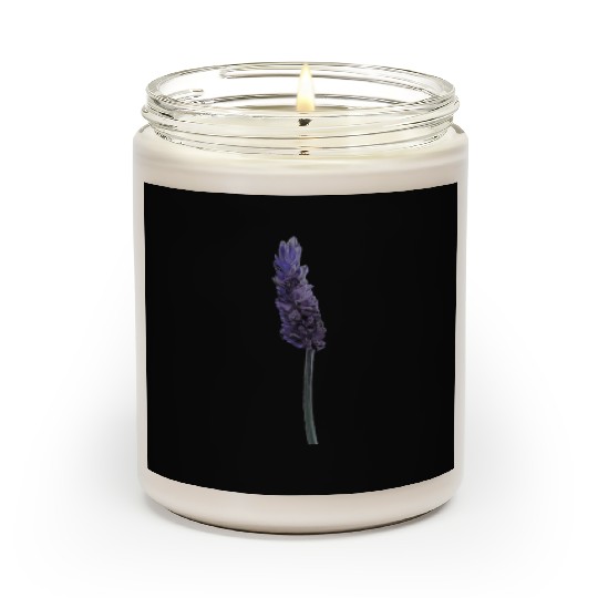 Lavender Flower Illustration Scented Candles