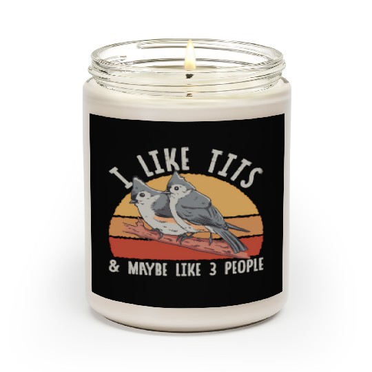 Bird Watcher Retro Vintage Tit Scented Candles