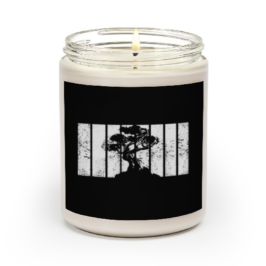Bonsai Scented Candles