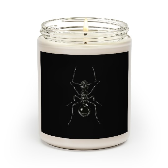 Black Ant Scented Candles