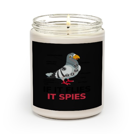 If It Flies It Spies Pigeon Anatomy Bird Aren t Scented Candles