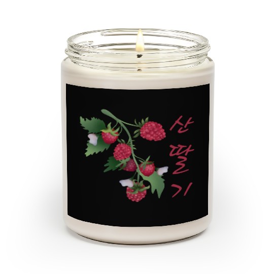 Korean Raspberry Scented Candles