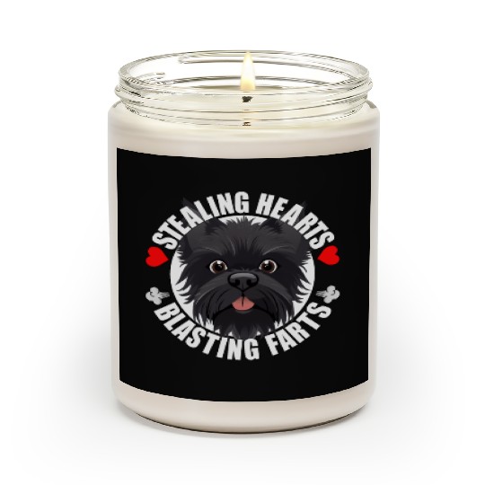 Affenpinscher Comedy Stealing Hearts Blasting Scented Candles