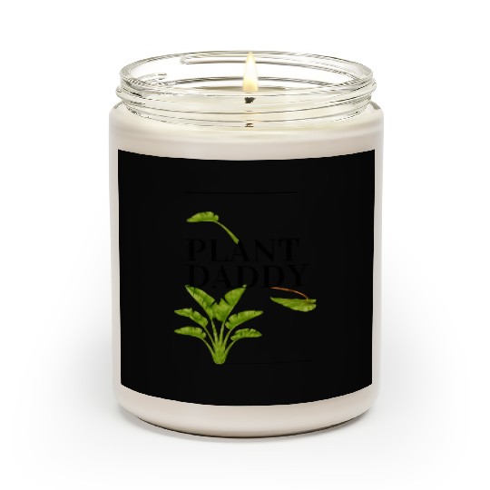 Plant Daddy Scented Candles