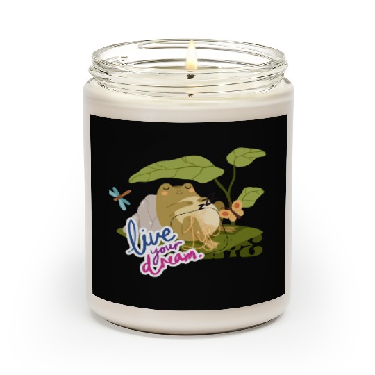 big frog Dream Scented Candles