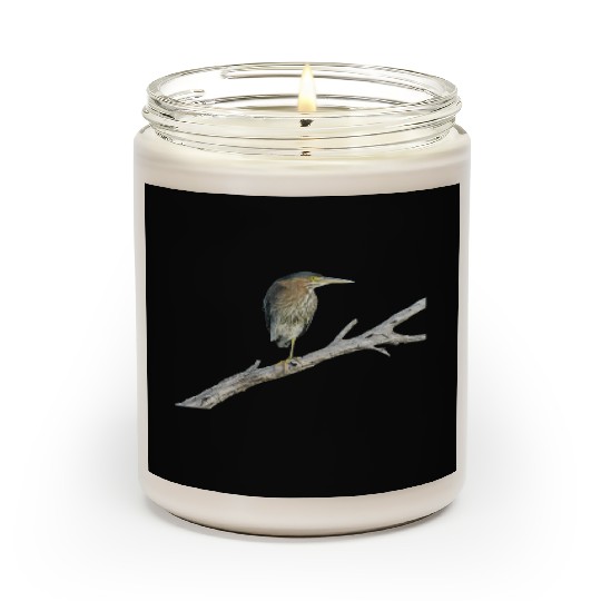 Green Heron Scented Candles