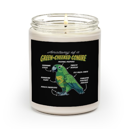 Green Cheeked Conure Anatomy Scented Candles
