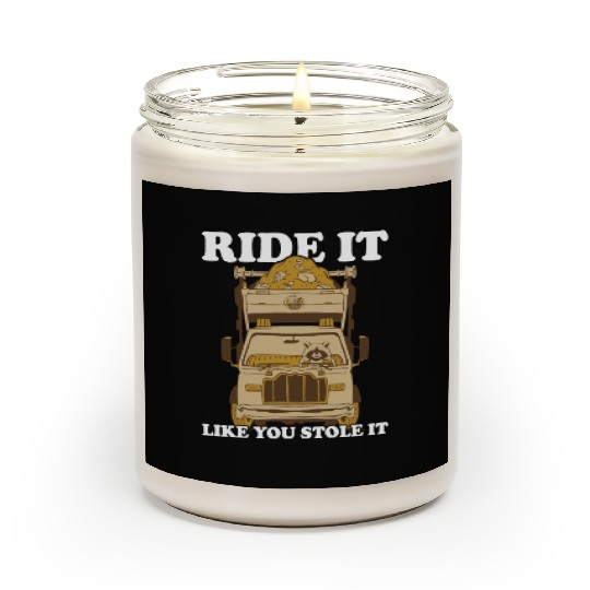 Funny Raccoons Trash Panda Racoon Lovers Scented Candles