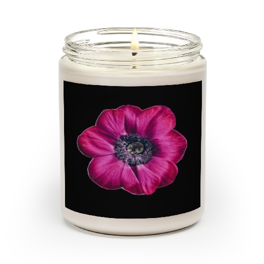 flower Violet Majesty Scented Candles