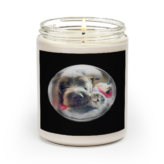 Life in a Bubble Collection-Dog Likes Cat Pillow! Scented Candles