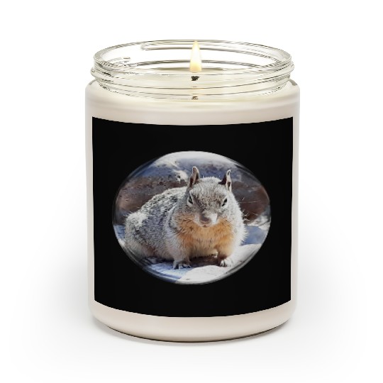 Life In a Bubble Collection- Grand Canyon Squirrel Scented Candles