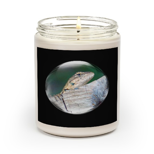 Life in a Bubble Collection - Leaping Lizards! Scented Candles