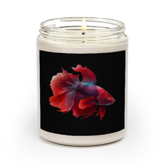 Siamese fighting fish red betta fish Scented Candles