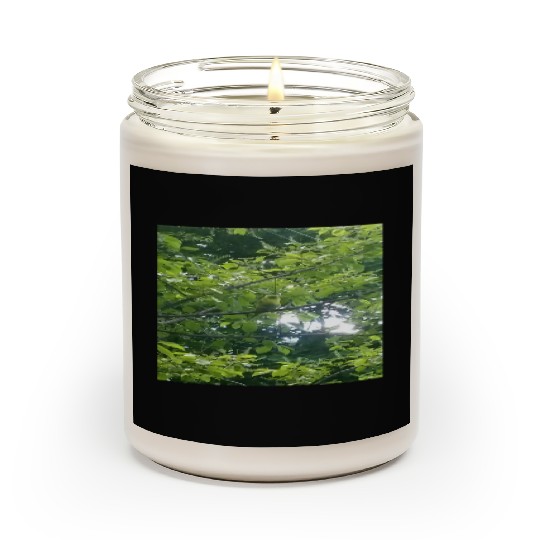 Camouflage Parakeet in Tree Gifts for Animal Lover Scented Candles