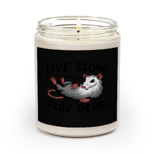 Funny Possum Live slow play dead Street Cat Scented Candles