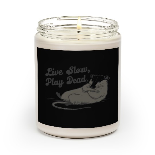 Funny Possum Live slow play dead Street Cat Scented Candles