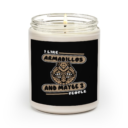 I Like Armadillos And Maybe 3 People Pink Fairy Scented Candles