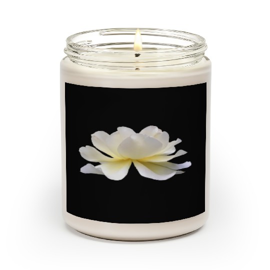 Lotus rose white flower Scented Candles