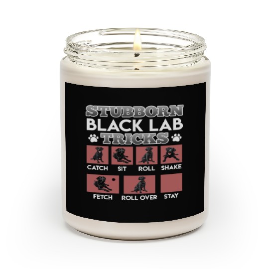 Labrador Owner STUBBORN BLACK LAB TRICKS Scented Candles