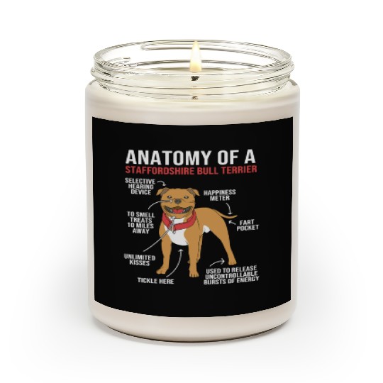 Dog Anatomy Of A Staffordshire Bull Terrier Scented Candles