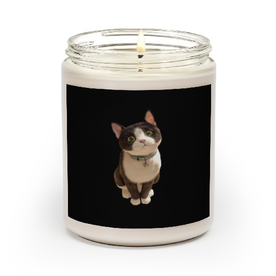 Cute kittens Scented Candles
