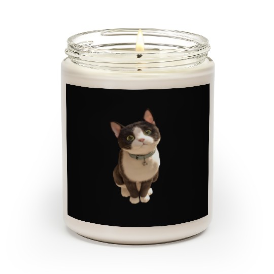 Cute kittens Scented Candles