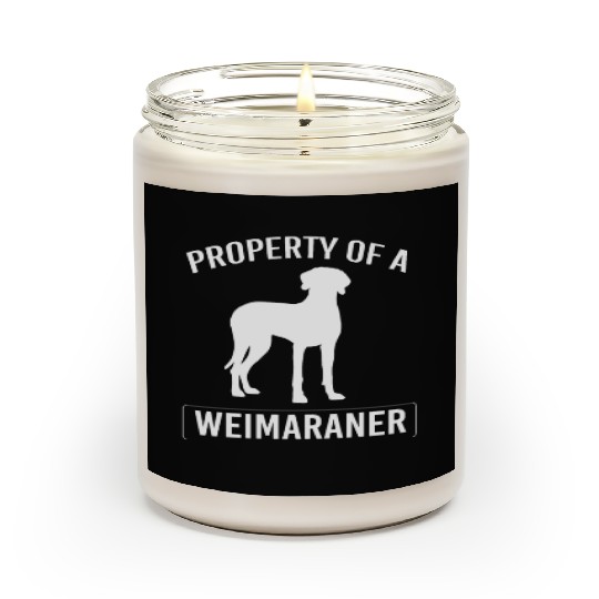 Weimaraner Dog Owner Humor Funny Weimaraner Lover Scented Candles