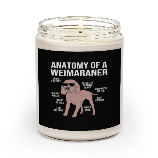 Dog With Sunglasses Anatomy Of A Weimaraner Scented Candles