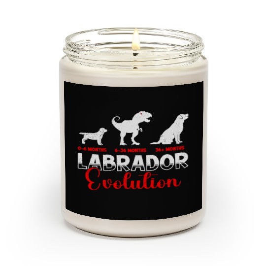 Labrador EVOLUTION Labrador Lovers Funny Scented Candles